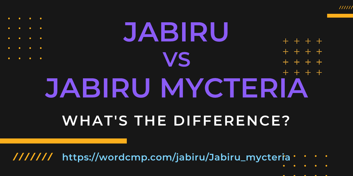 Difference between jabiru and Jabiru mycteria