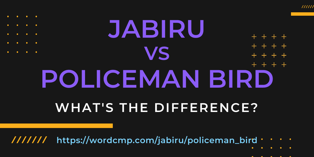 Difference between jabiru and policeman bird