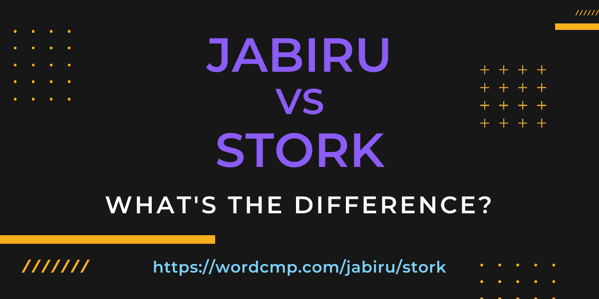 Difference between jabiru and stork