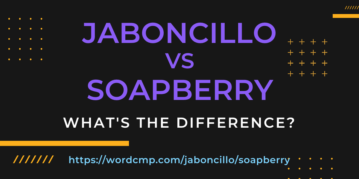 Difference between jaboncillo and soapberry
