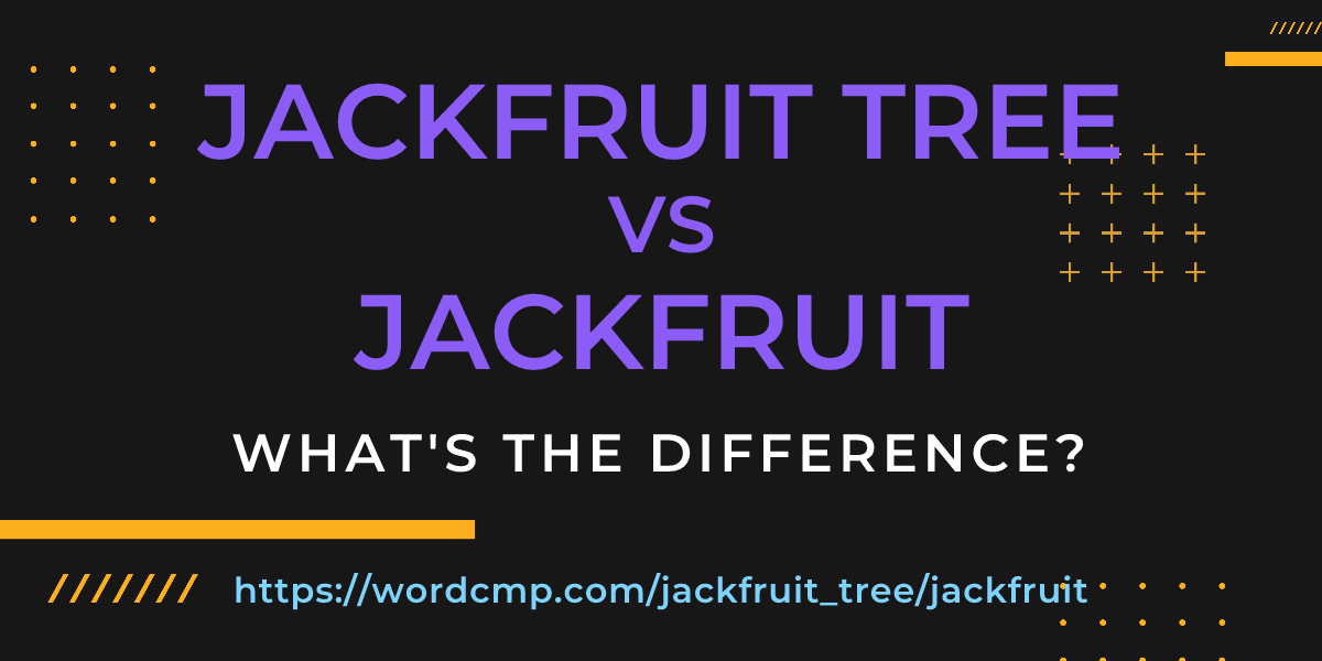 Difference between jackfruit tree and jackfruit