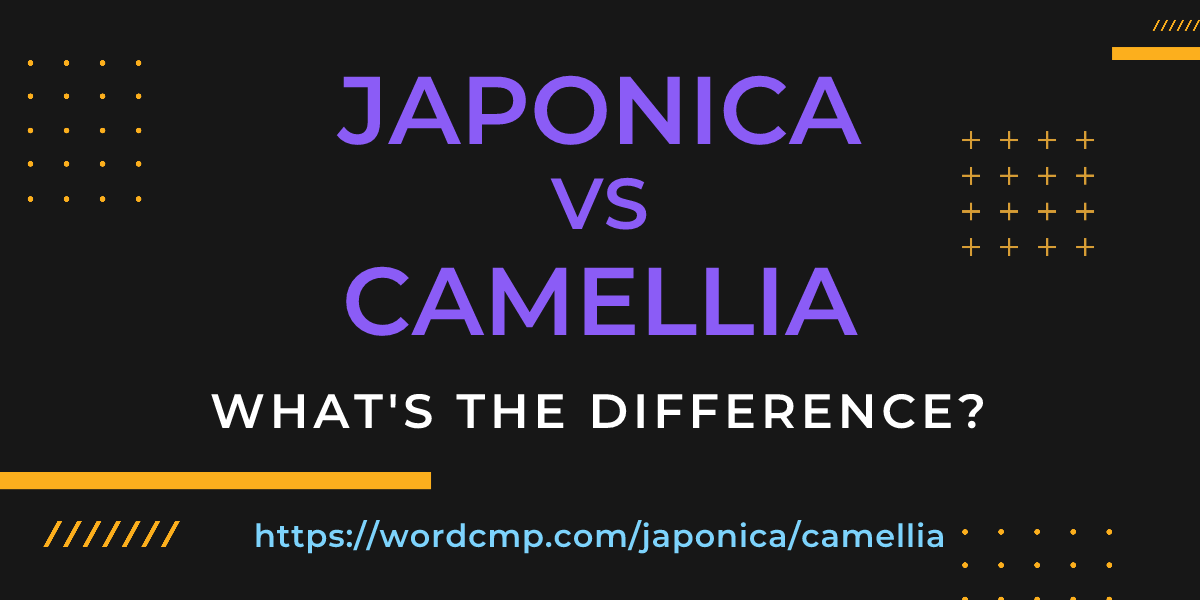 Difference between japonica and camellia