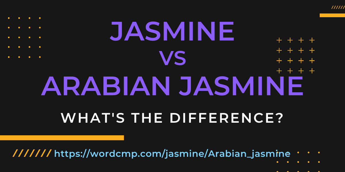Difference between jasmine and Arabian jasmine
