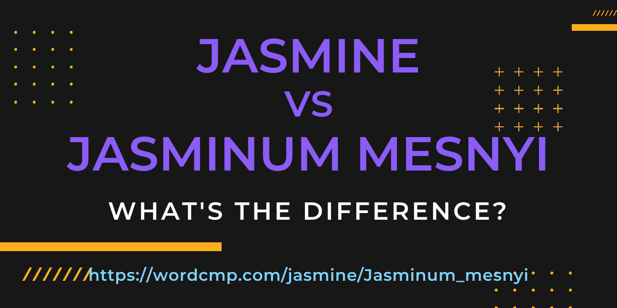 Difference between jasmine and Jasminum mesnyi