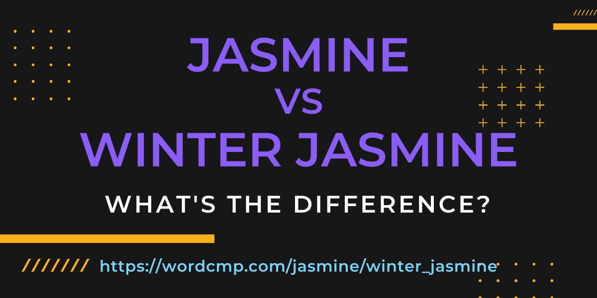 Difference between jasmine and winter jasmine