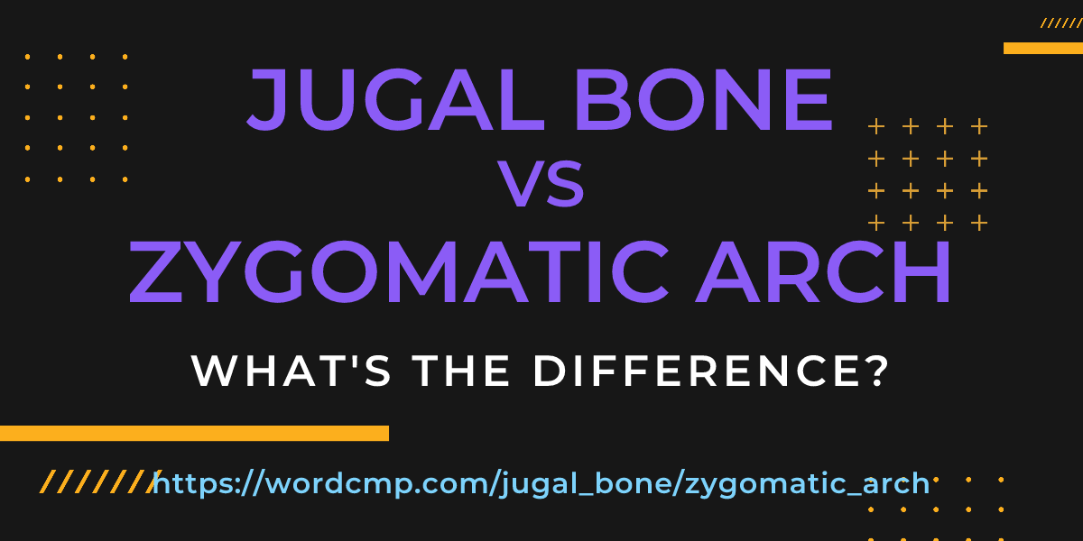 Difference between jugal bone and zygomatic arch