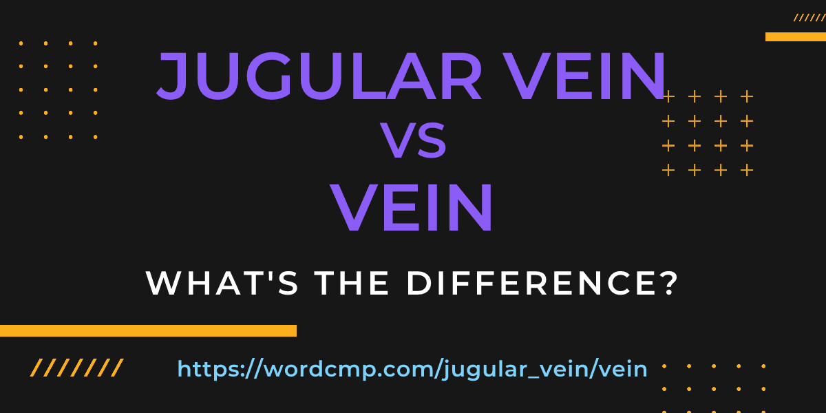 Difference between jugular vein and vein