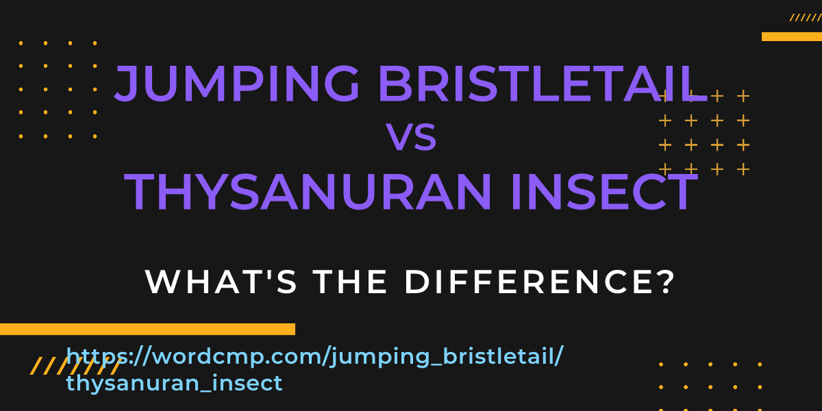 Difference between jumping bristletail and thysanuran insect