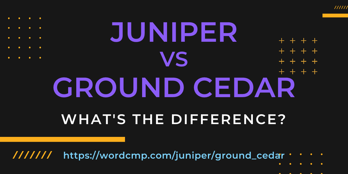 Difference between juniper and ground cedar