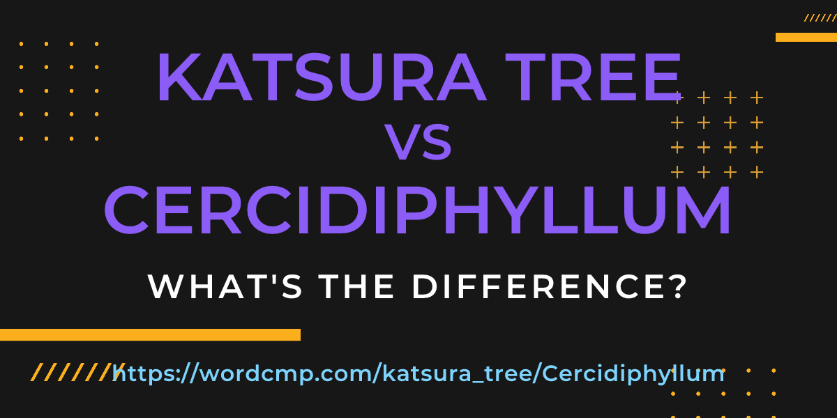 Difference between katsura tree and Cercidiphyllum