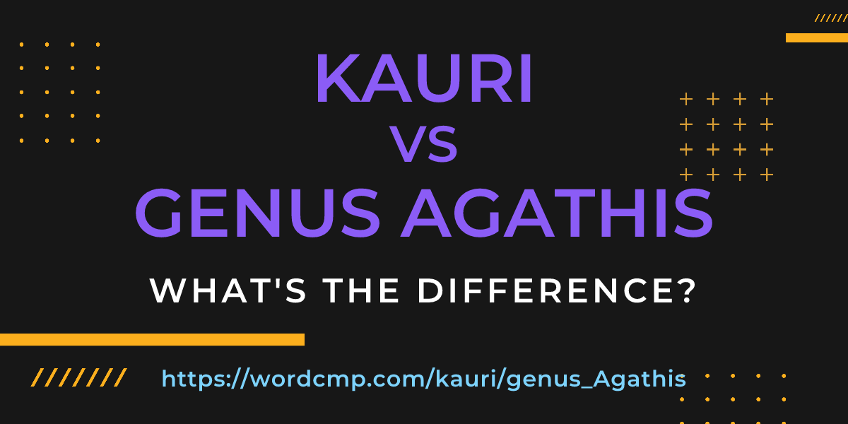 Difference between kauri and genus Agathis