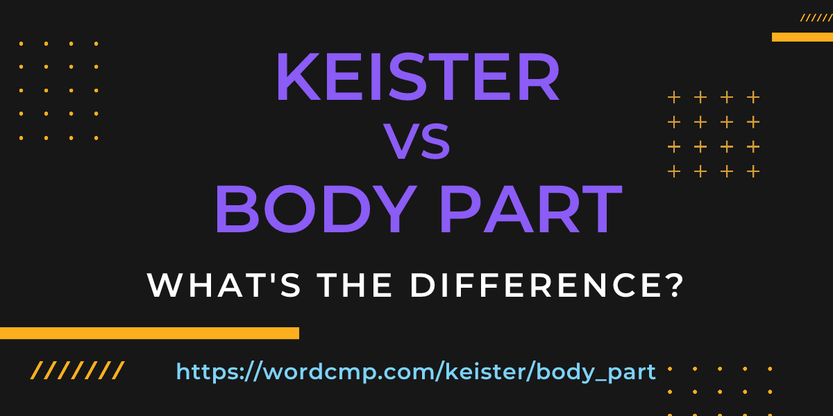 Difference between keister and body part
