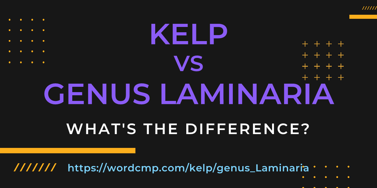 Difference between kelp and genus Laminaria