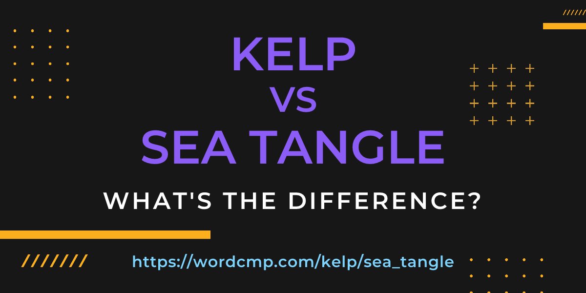 Difference between kelp and sea tangle