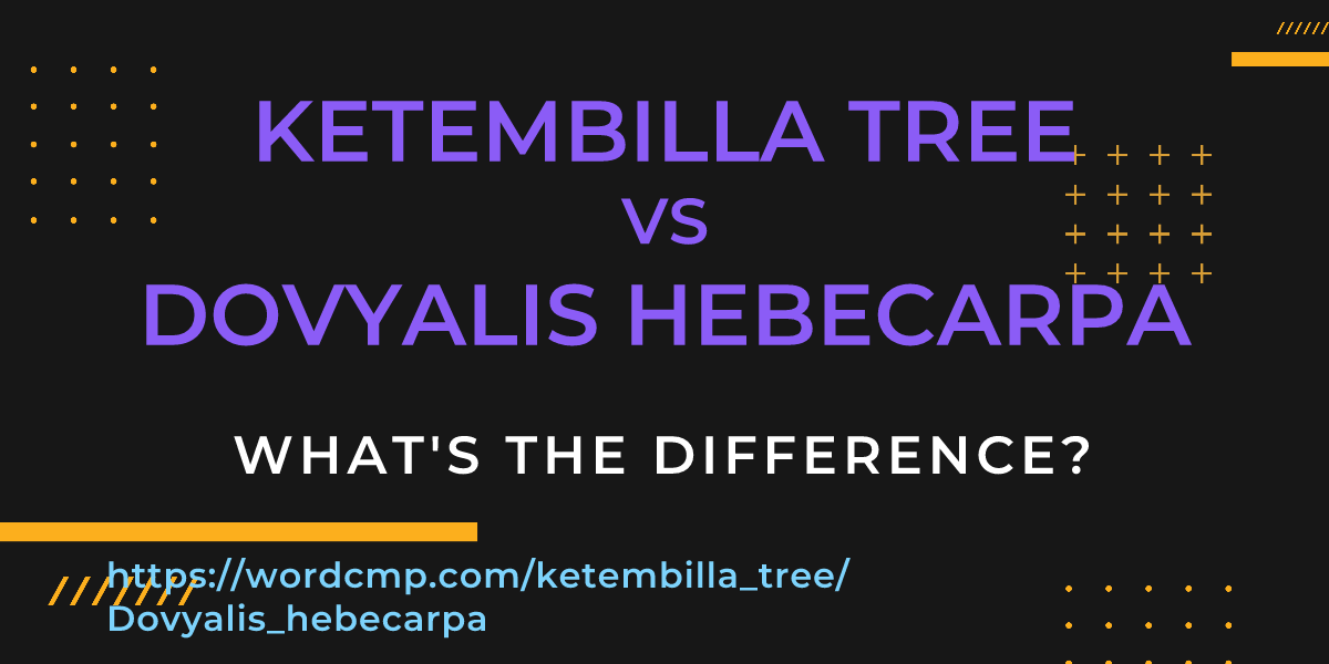 Difference between ketembilla tree and Dovyalis hebecarpa
