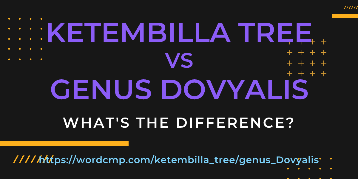 Difference between ketembilla tree and genus Dovyalis