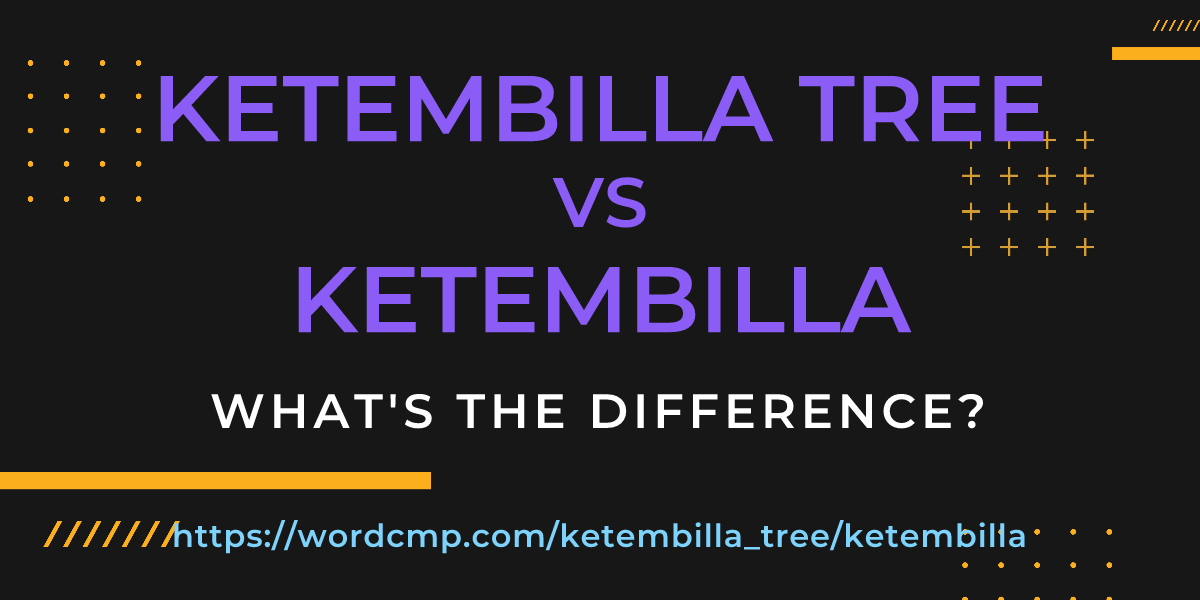 Difference between ketembilla tree and ketembilla