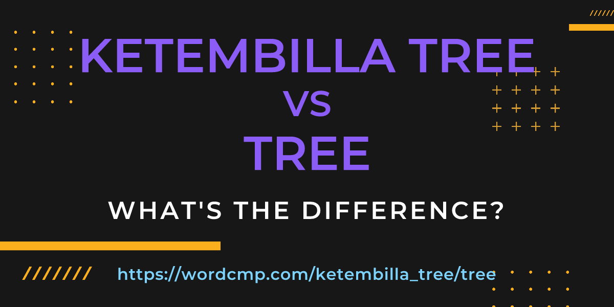 Difference between ketembilla tree and tree