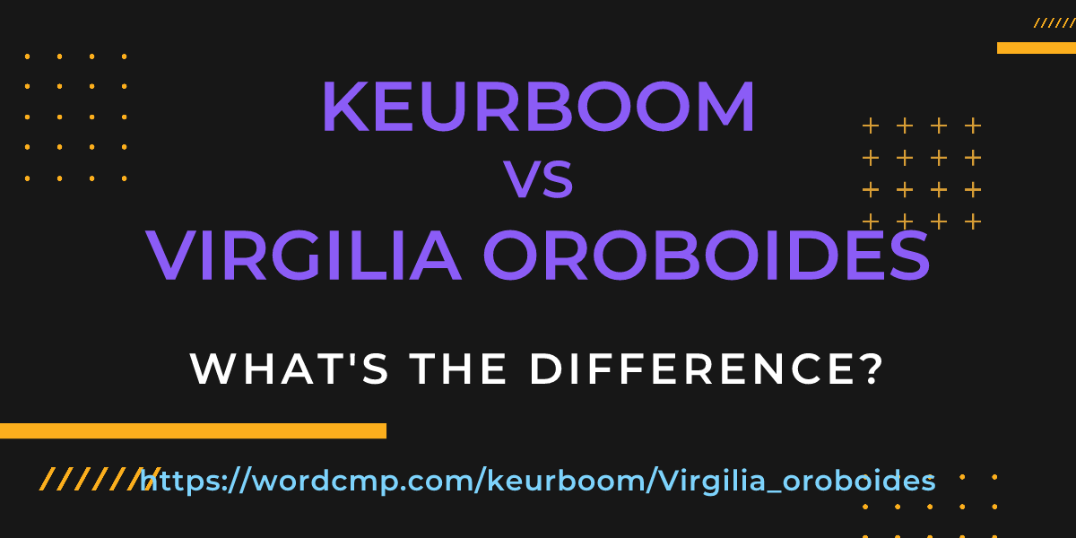 Difference between keurboom and Virgilia oroboides