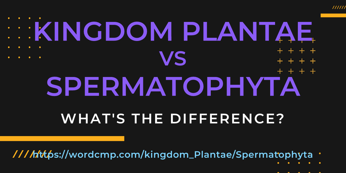 Difference between kingdom Plantae and Spermatophyta
