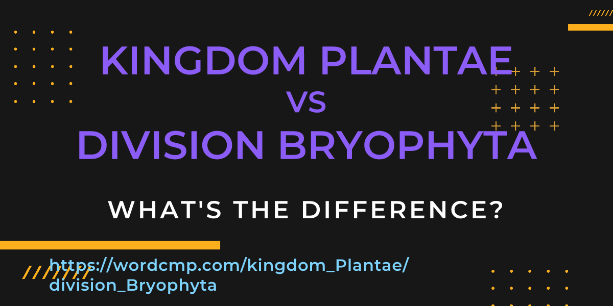 Difference between kingdom Plantae and division Bryophyta