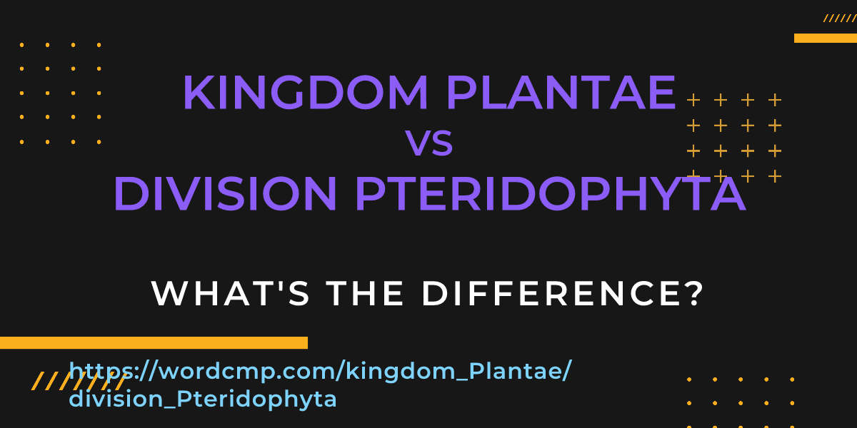 Difference between kingdom Plantae and division Pteridophyta