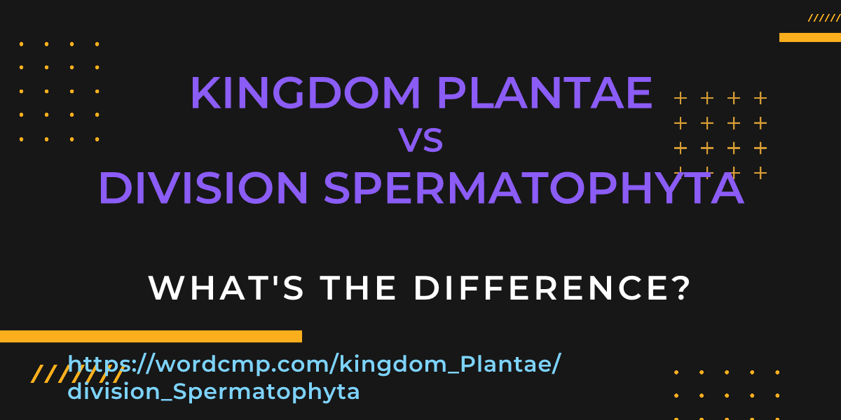 Difference between kingdom Plantae and division Spermatophyta