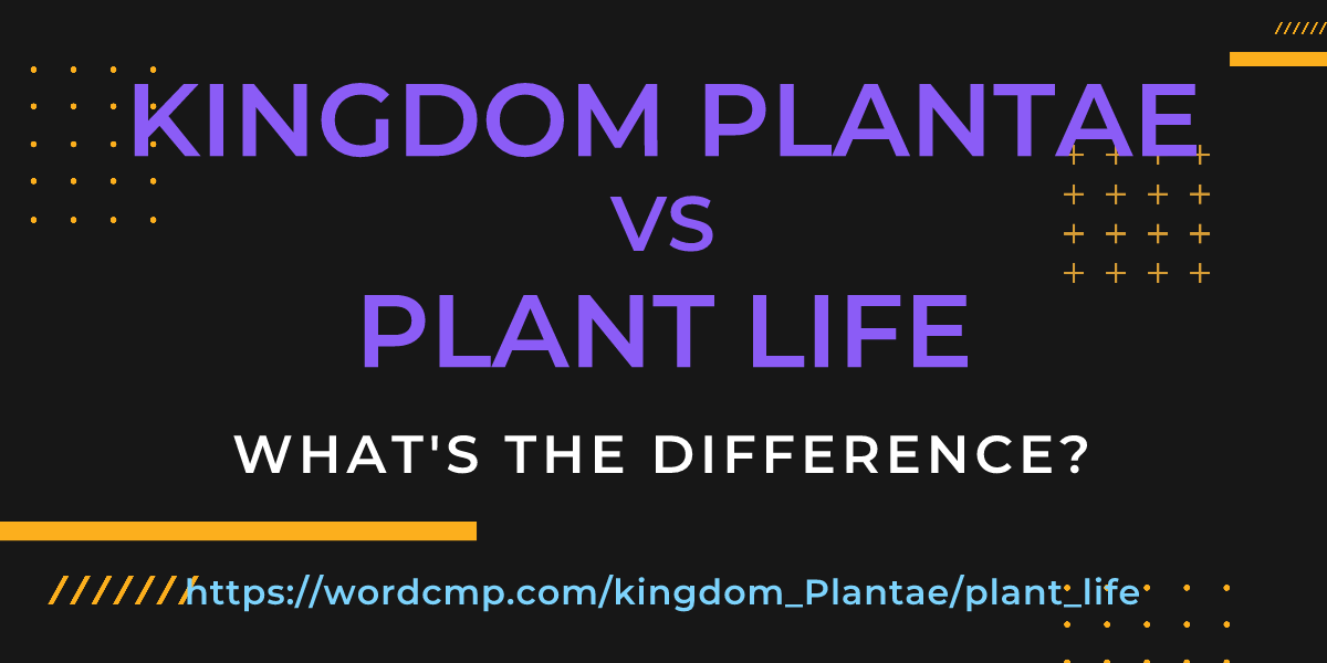 Difference between kingdom Plantae and plant life