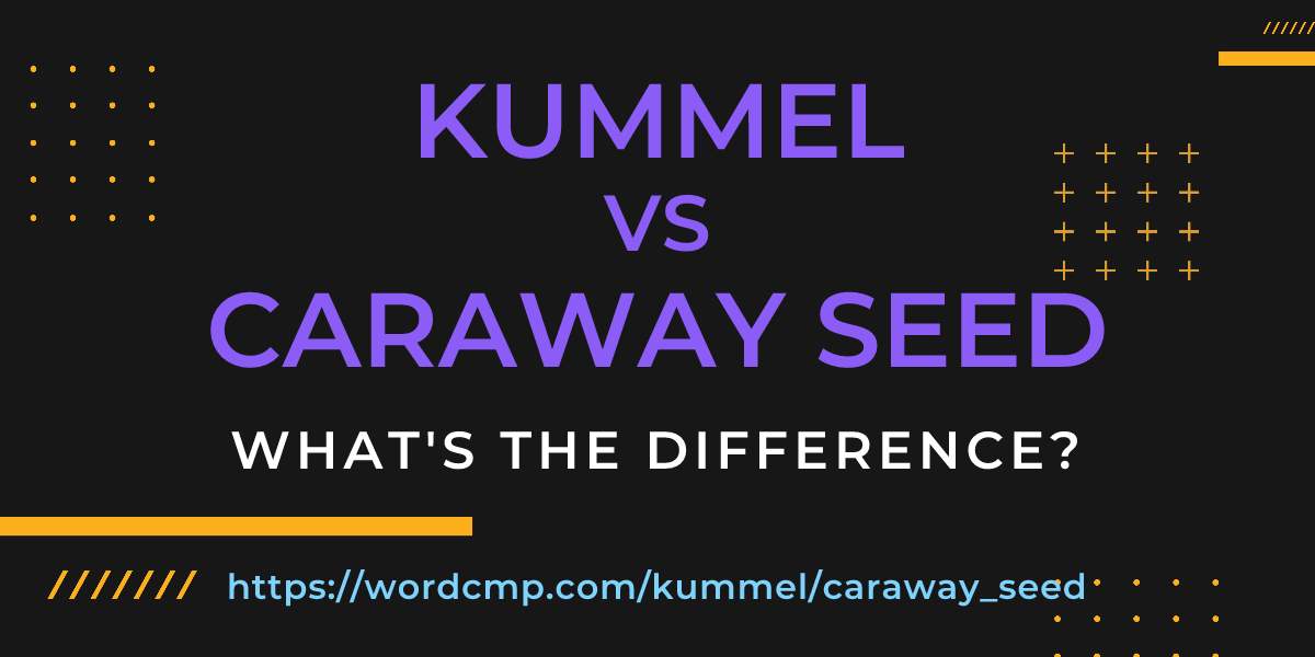 Difference between kummel and caraway seed