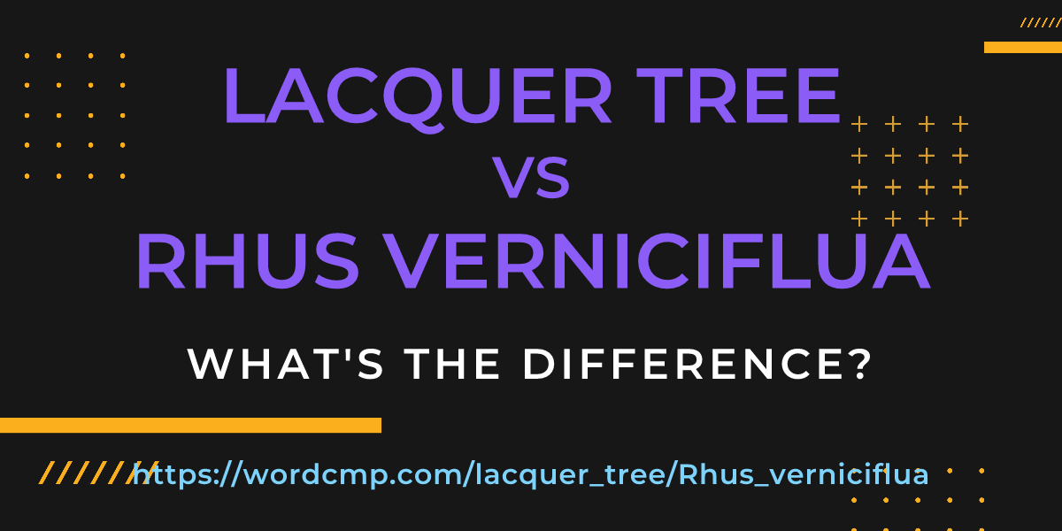 Difference between lacquer tree and Rhus verniciflua
