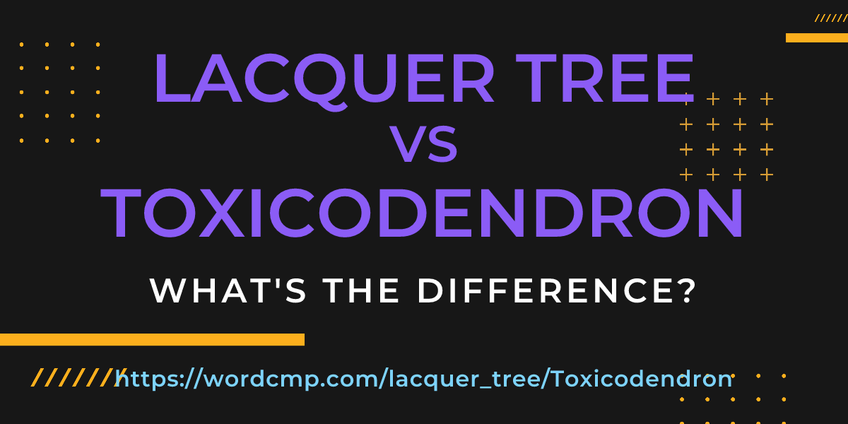 Difference between lacquer tree and Toxicodendron