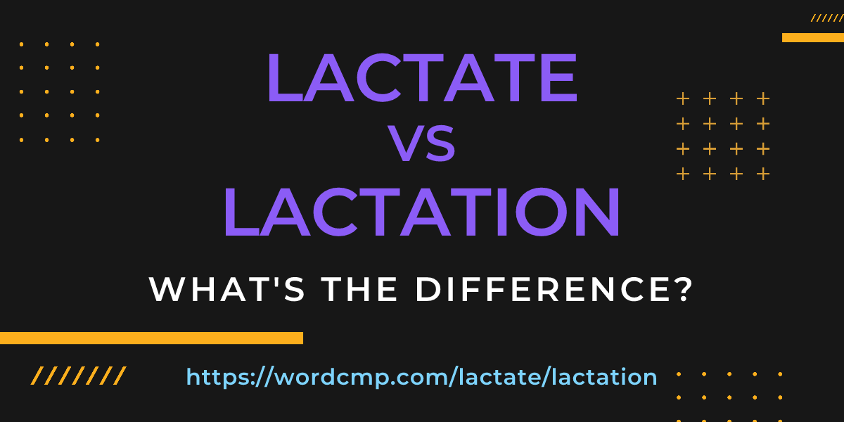 Difference between lactate and lactation