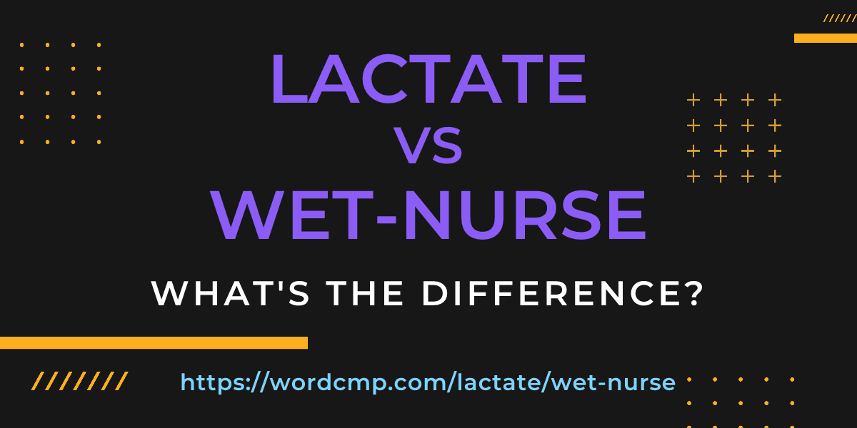Difference between lactate and wet-nurse