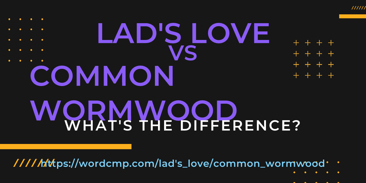 Difference between lad's love and common wormwood