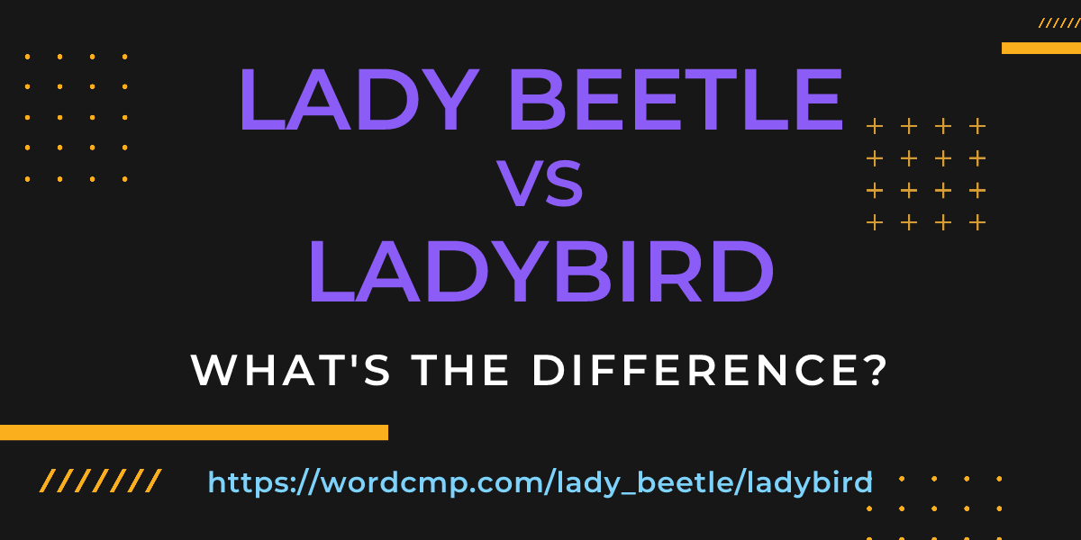 Difference between lady beetle and ladybird