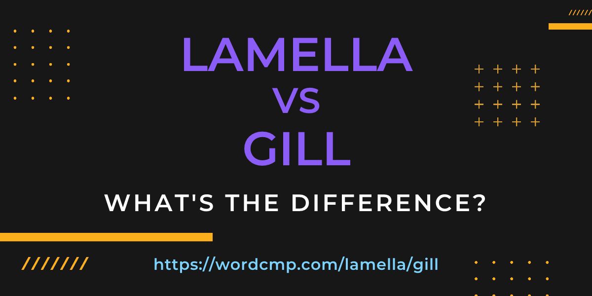 Difference between lamella and gill