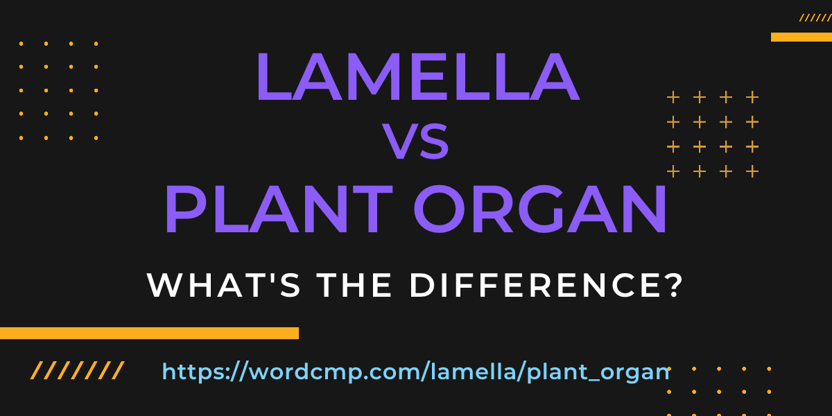Difference between lamella and plant organ