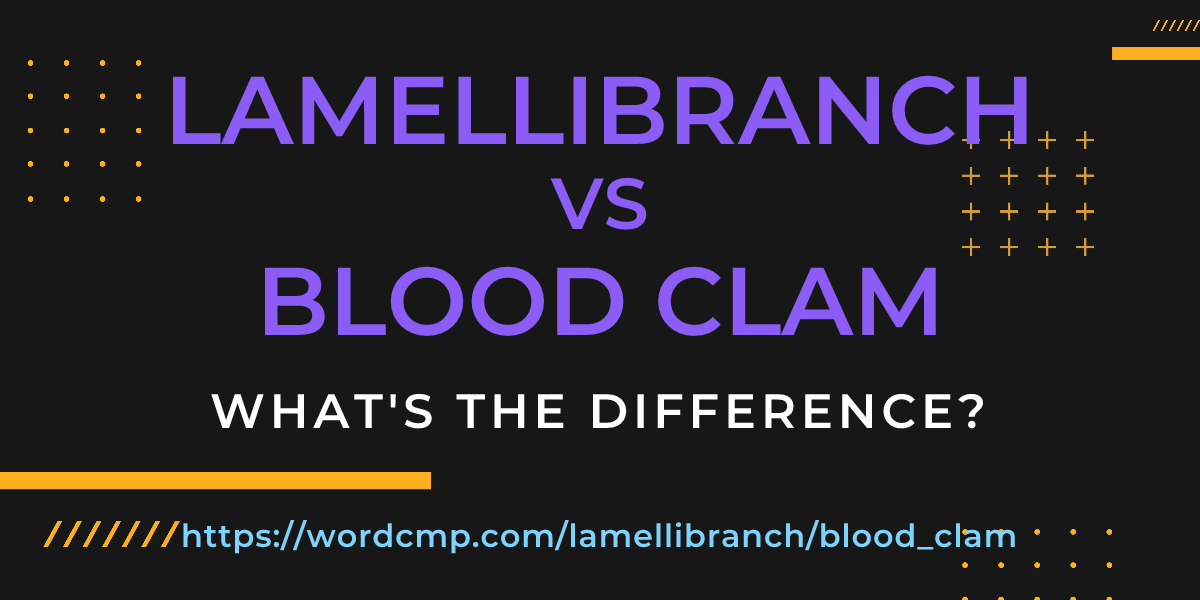 Difference between lamellibranch and blood clam