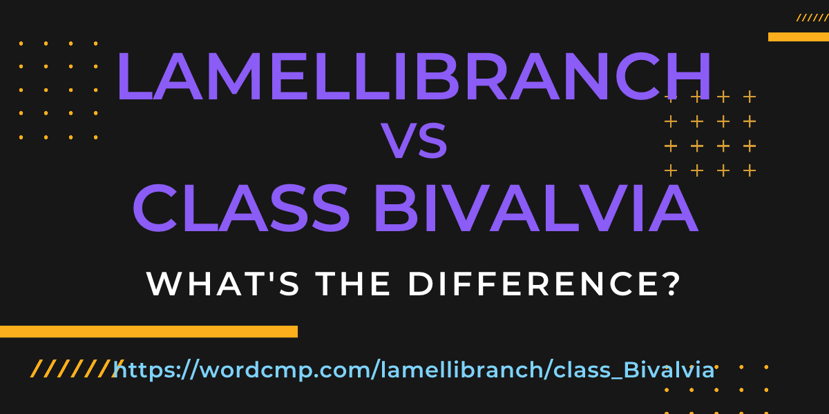 Difference between lamellibranch and class Bivalvia