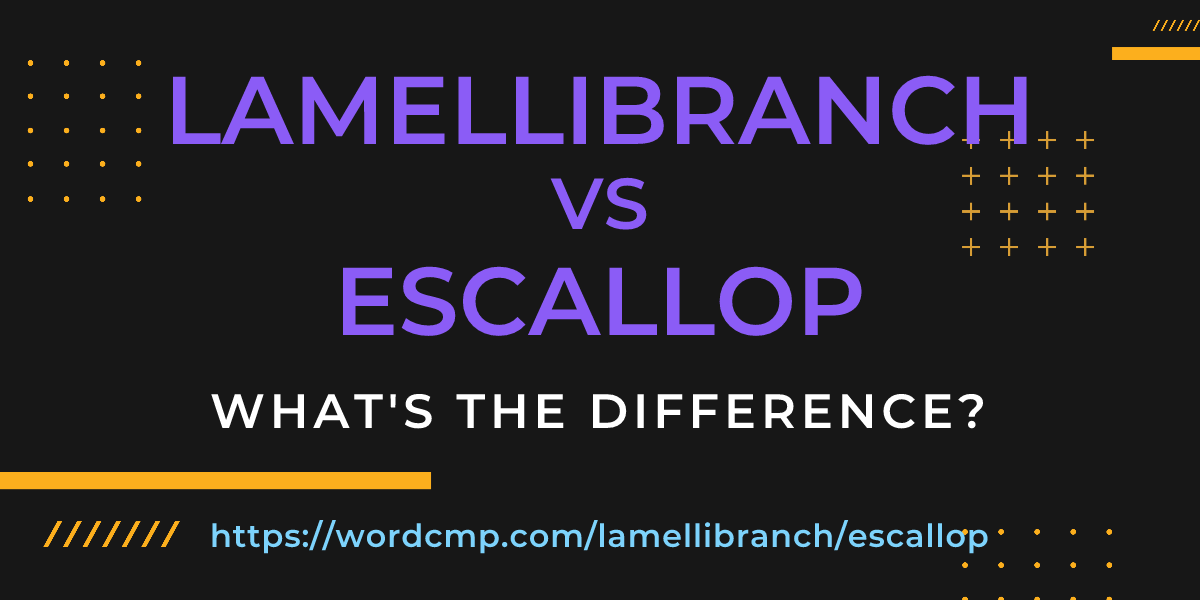 Difference between lamellibranch and escallop