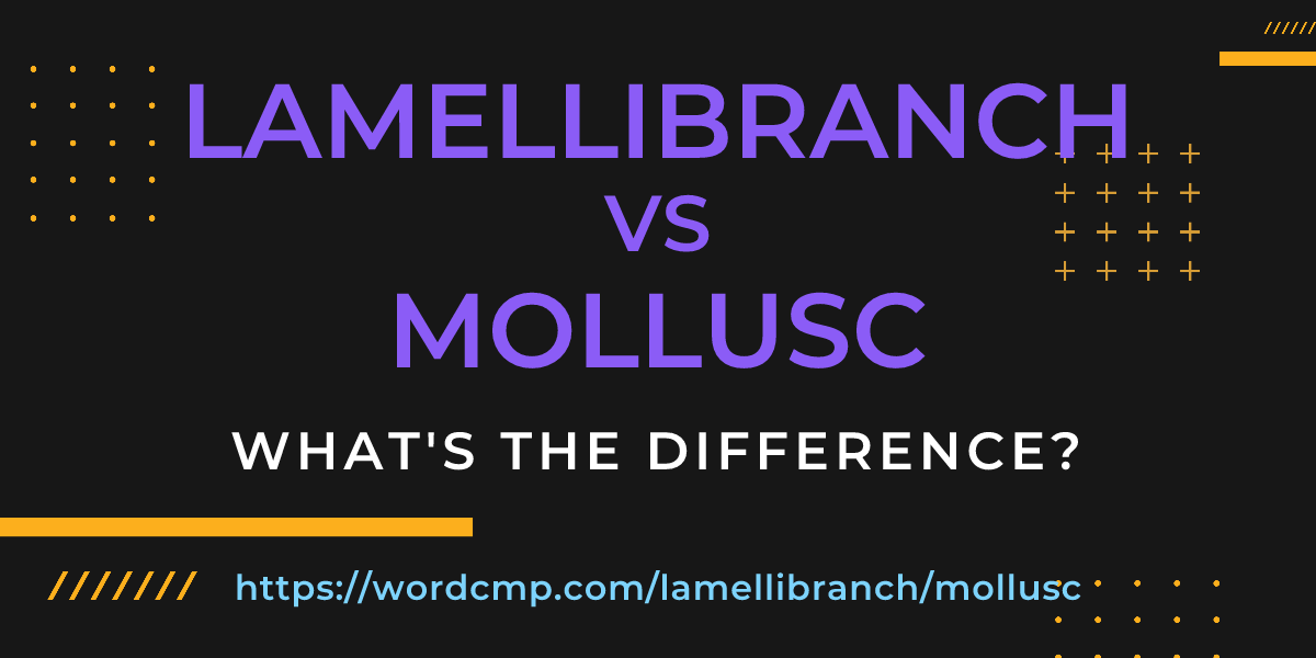 Difference between lamellibranch and mollusc