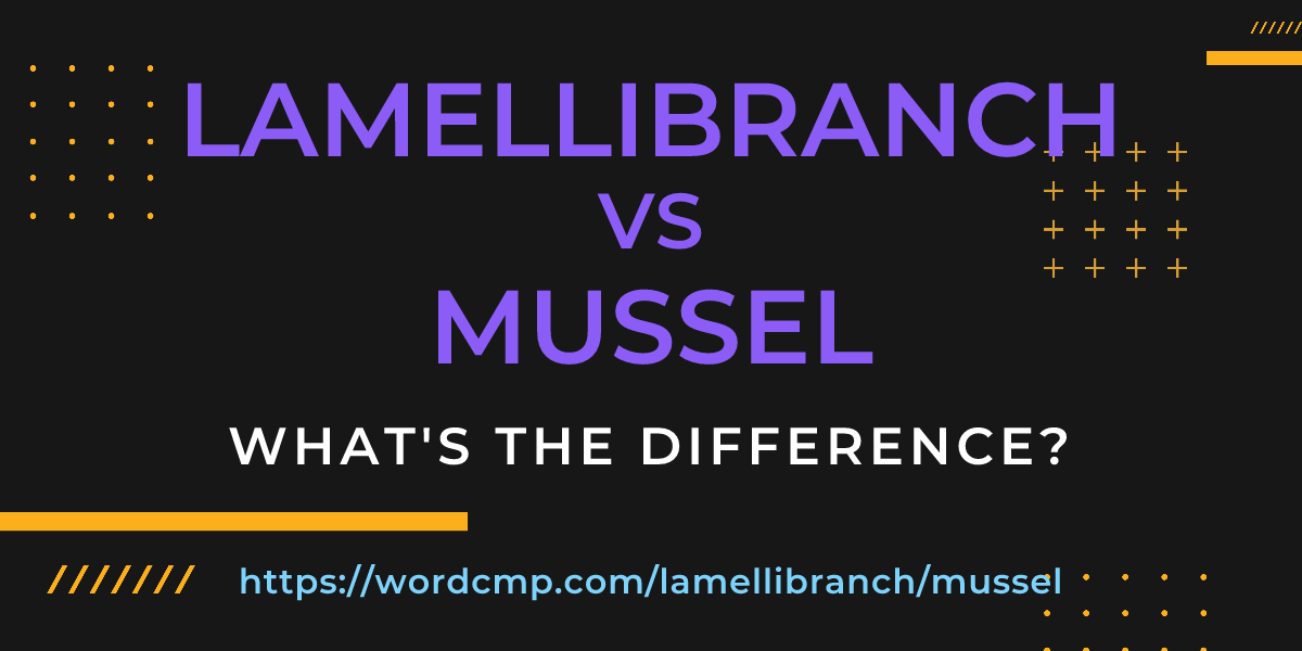 Difference between lamellibranch and mussel