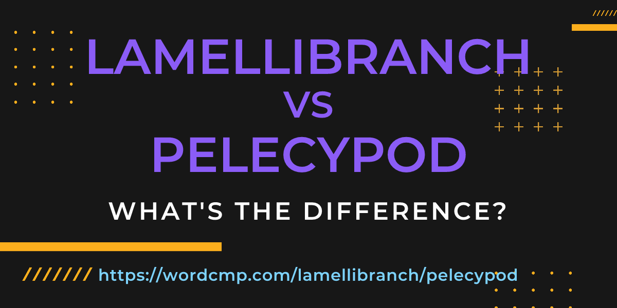 Difference between lamellibranch and pelecypod