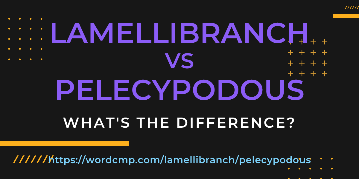 Difference between lamellibranch and pelecypodous