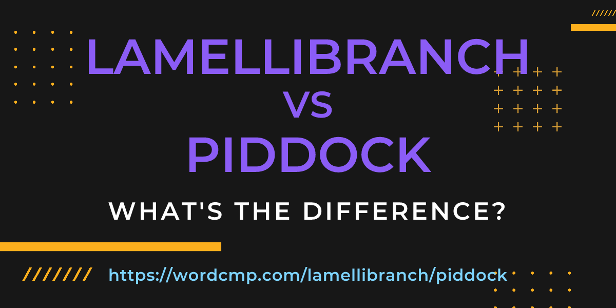 Difference between lamellibranch and piddock