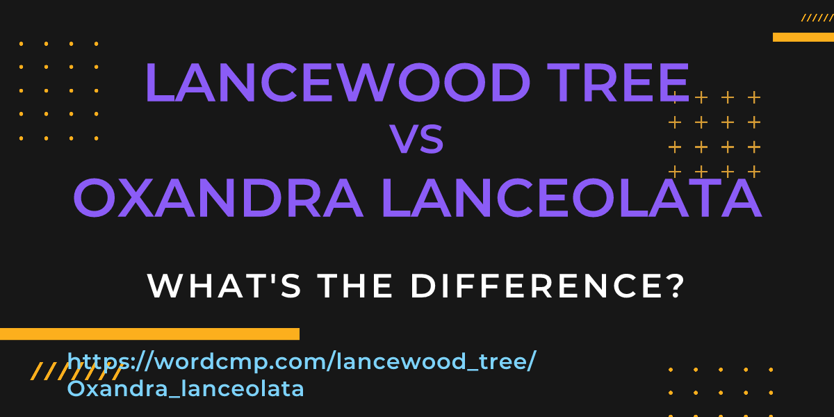 Difference between lancewood tree and Oxandra lanceolata