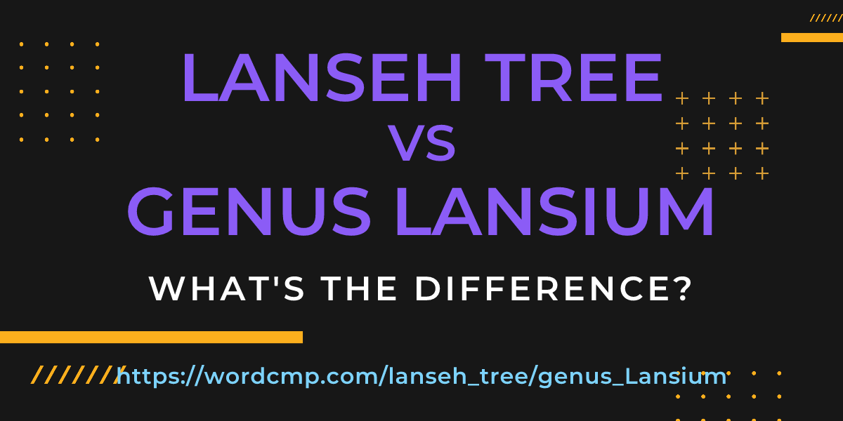 Difference between lanseh tree and genus Lansium