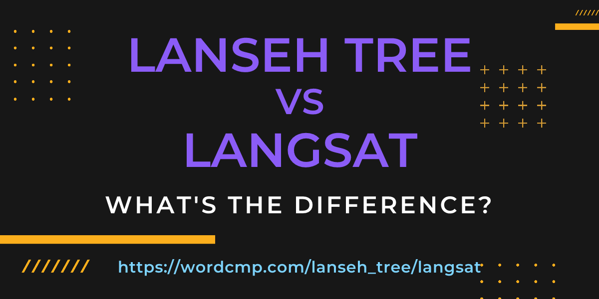 Difference between lanseh tree and langsat