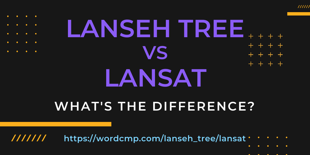 Difference between lanseh tree and lansat