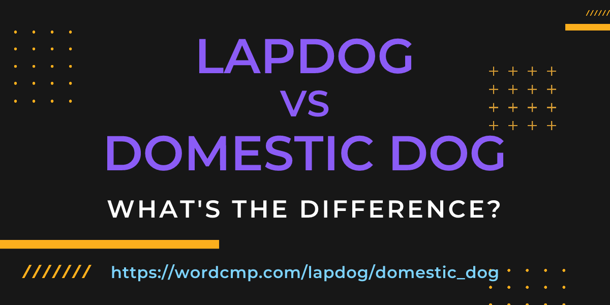Difference between lapdog and domestic dog